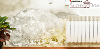 Ile kosztuje iniekcja muru? Ile kosztuje iniekcja muru?