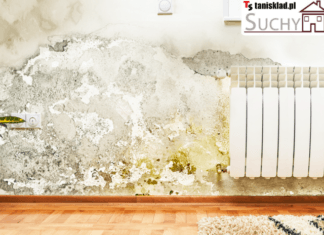 Ile kosztuje iniekcja muru?