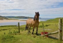 Ranking zawodów z najlepszą atmosferą – gdzie pojechać?