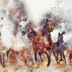 Czy koń może być introwertykiem?