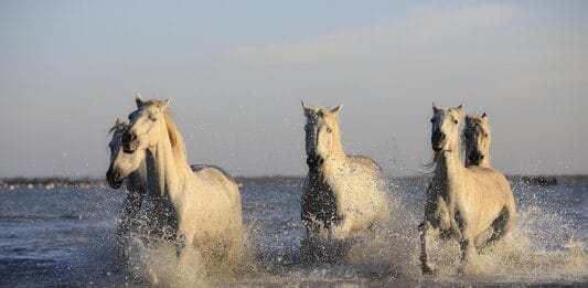 Pierwsza pomoc po kontuzji treningowej