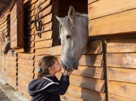 Czy konie się nudzą? Proste sposoby na wzbogacenie środowiska i zabawę z koniem Dziewczynka obejmuje konia w wiejskiej stajni, budując z nim więź