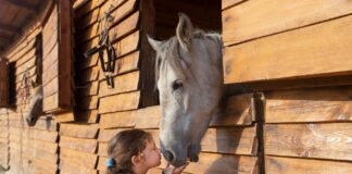 Czy konie się nudzą? Proste sposoby na wzbogacenie środowiska i zabawę z koniem Dziewczynka obejmuje konia w wiejskiej stajni, budując z nim więź