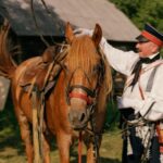 Święte konie, ofiary i wróżby: zapomniane rytuały z udziałem koni w kulturach świata