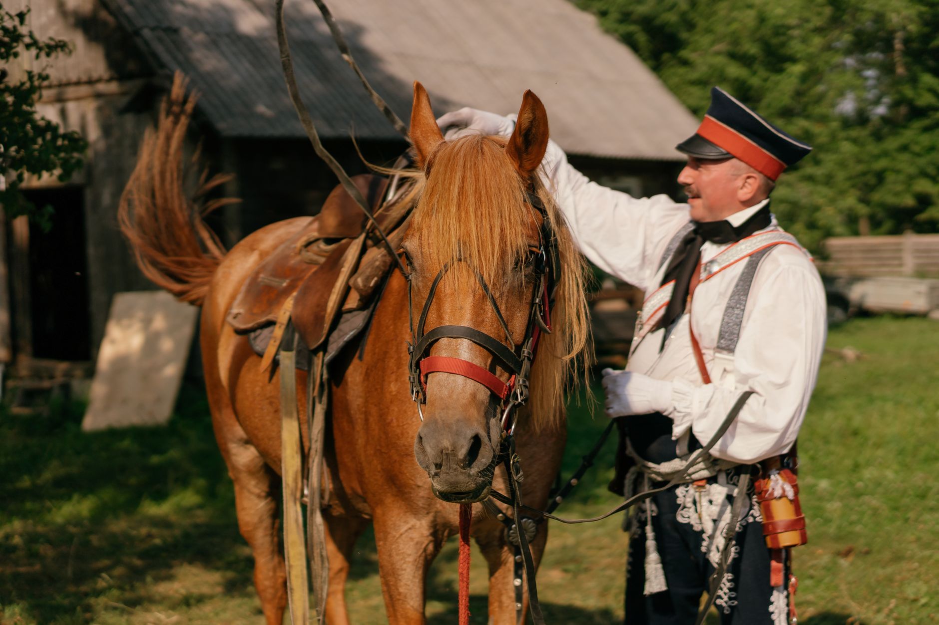 Święte konie, ofiary i wróżby: zapomniane rytuały z udziałem koni w kulturach świata